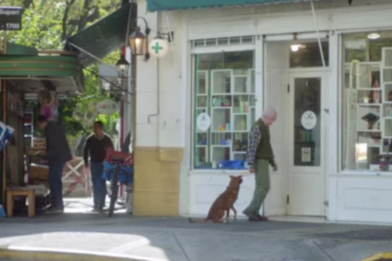 ΑΠΛΑ ΣΥΓΚΛΟΝΙΣΤΙΚΟ: Ο πιστός σκύλος, η δωρέα οργάνων και η διαφήμιση της χρονιάς που ραγίζει καρδιές! (video)