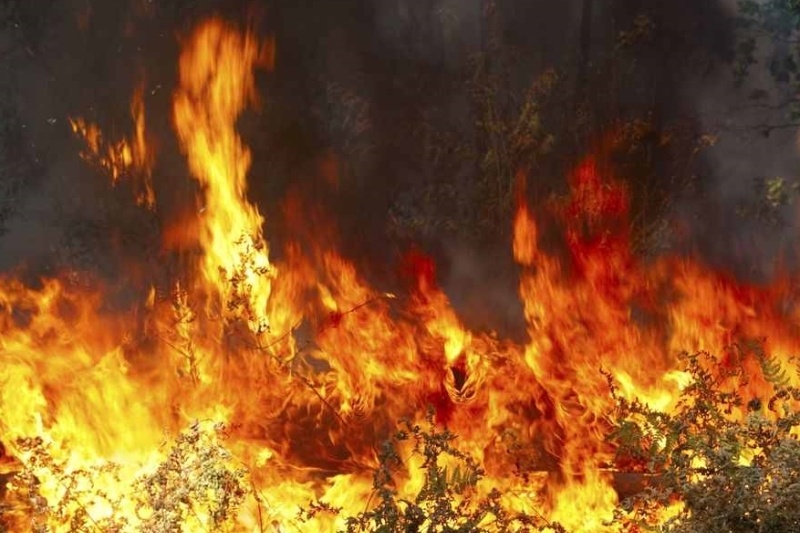 Έκτακτο: Αναγκαστική προσγείωση καναντέρ στη Λακωνία