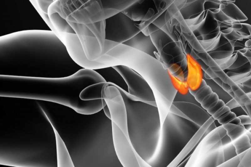 Τα βασικότερα σημάδια που δείχνουν πρόβλημα στο θυρεοειδή