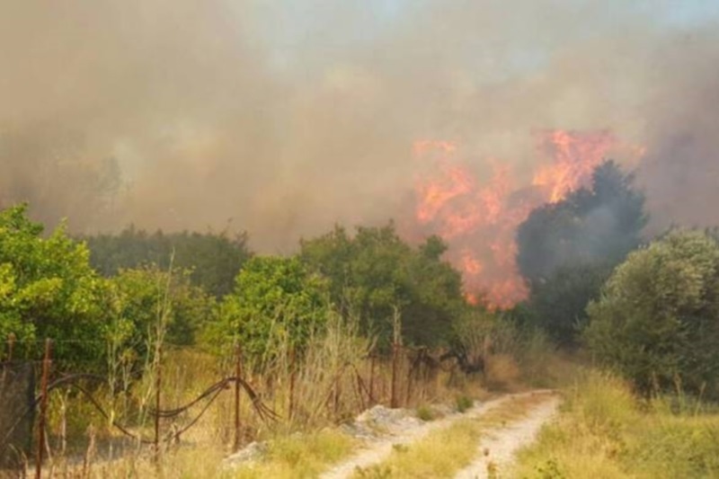 Σε πύρινο κλοιό η Ρόδος - Εκκενώθηκαν οικισμοί (Photos + Video)