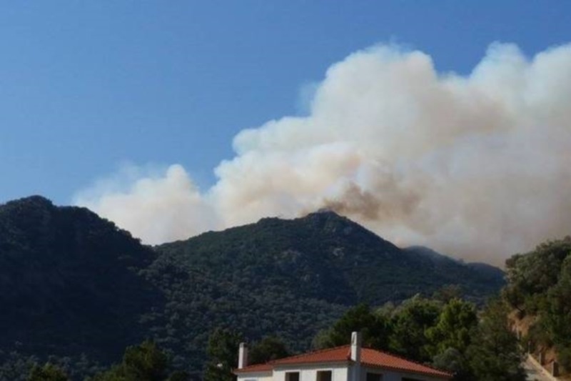 Μαίνεται η πυρκαγιά στην Αγία Μαρίνα της Λέσβου – Επί τόπου ισχυρή δύναμη της Πυροσβεστικής (video)
