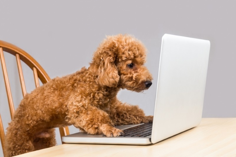 Όταν ο κορέκτορας «τα βάζει» με τα ζώδια!
