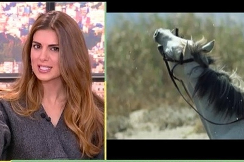 Τσιμτσιλή σε Παπανώτα: «Ο Ελληνάρας που κάθεται στο καφενείο και δεν του αρέσει τίποτα»