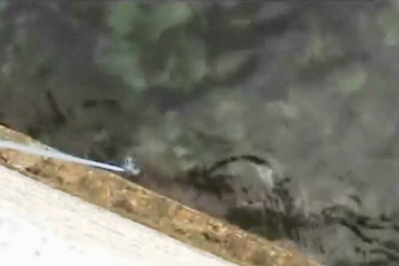 Απίστευτο! Έριξε τον σταυρό και έπιασε… χταπόδι! (video)