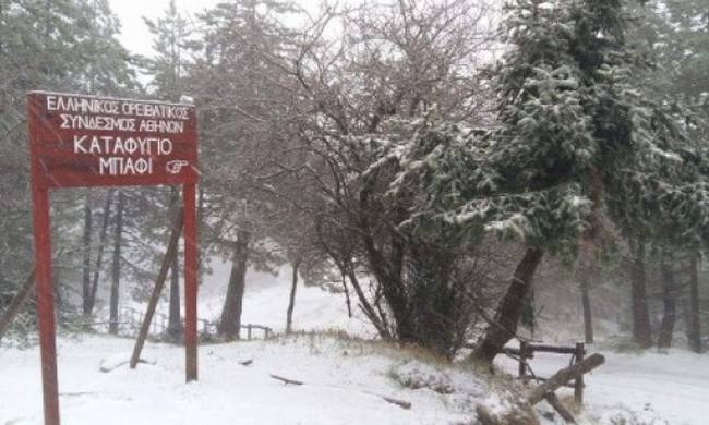 Καιρός: Το «έστρωσε» στην Πάρνηθα – Παγωνιά στην Αθήνα