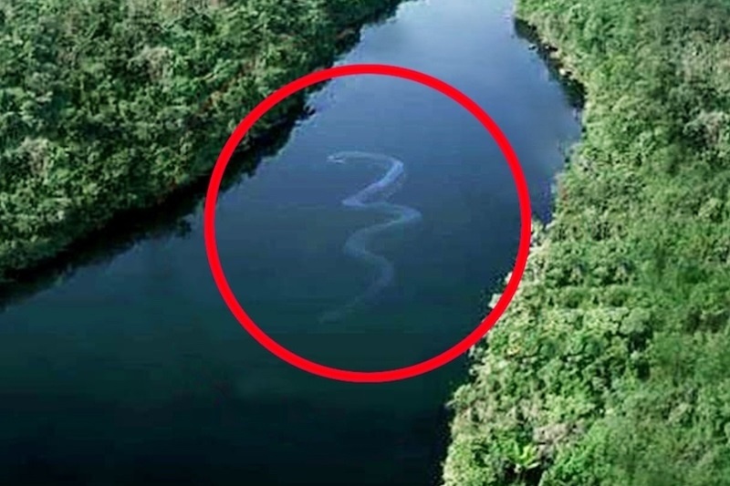 Σίγουρα θα αναθεωρήσετε το κολύμπι στα βαθιά μετά από αυτές τις φωτογραφίες! (photos)