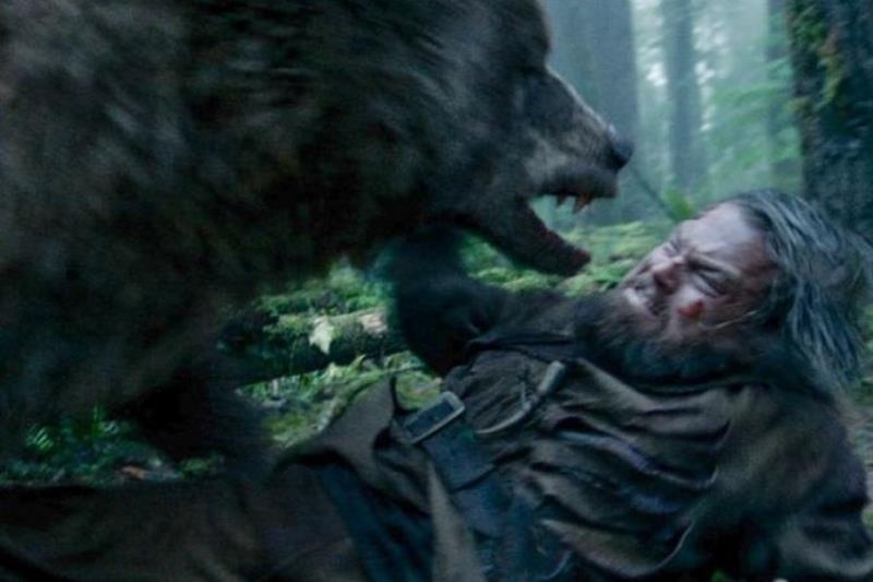 Οscars 2016: Επικό τρολάρισμα της Μπάγερν στον Ντι Κάπριο! (photo)