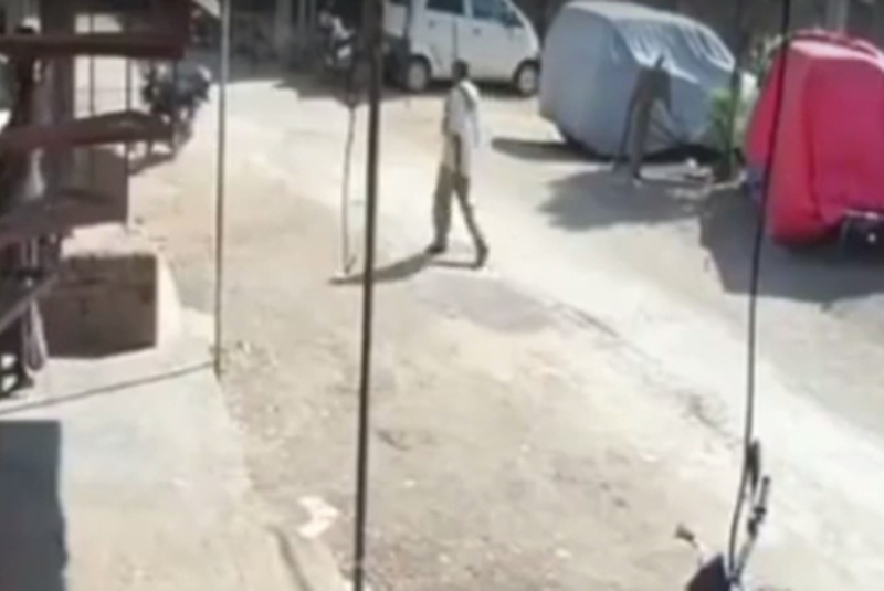 Απίστευτη επίθεση από... μαϊμού σε πολίτη (video)