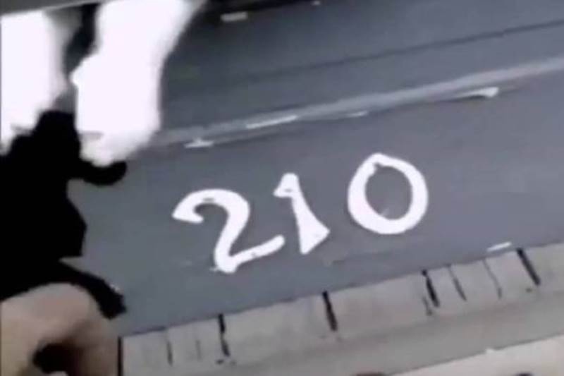 Γάτα εναντίον ταχυδρόμου: 1-0! (video)