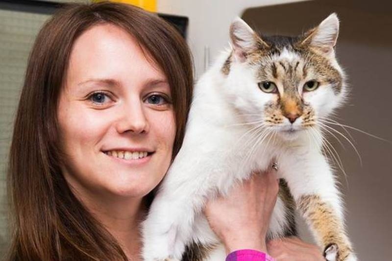 Ουαλία: Γάτα ξαναβρέθηκε με τους ιδιοκτήτες της μετά από έξι χρόνια!