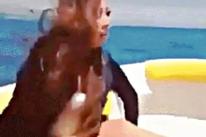 Πανικός στο διαδίκτυο: Γυναίκα εξαφανίζεται στον αέρα μπροστά στην κάμερα! (video)