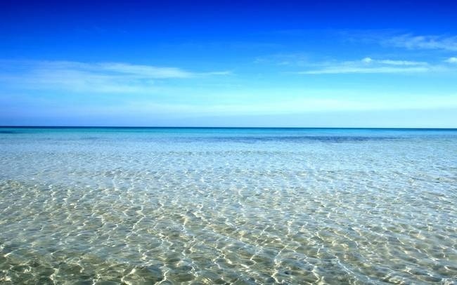 Το βίντεο που πρέπει να δουν όλοι – Κανείς δεν μπορούσε να φανταστεί αυτό που συνέβη στη θάλασσα
