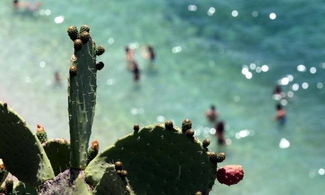 Καιρός: Μίνι καύσωνας και μετά… καταιγίδες – Θα πάμε για μπάνιο το Σαββατοκύριακο;