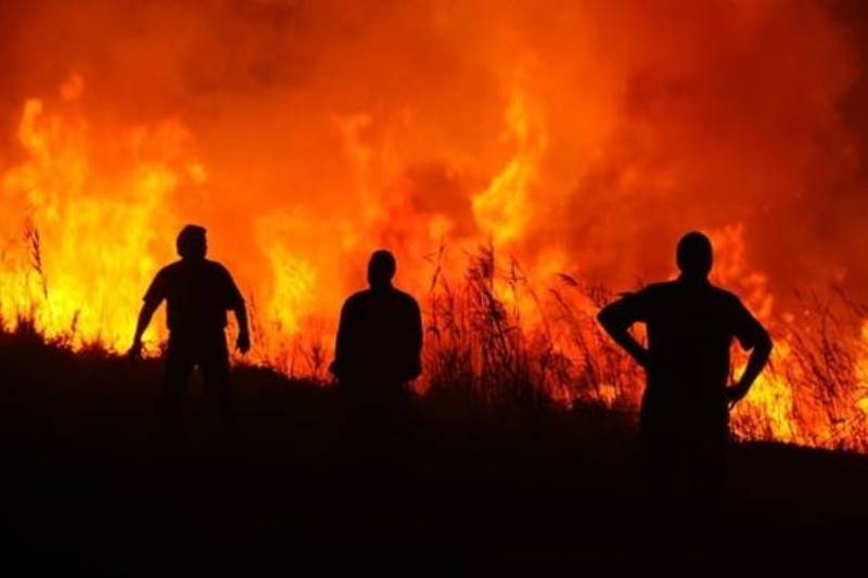 Πύρινη κόλαση στη βόρεια Εύβοια: Στάχτη χιλιάδες στρέμματα πευκοδάσους (photos)