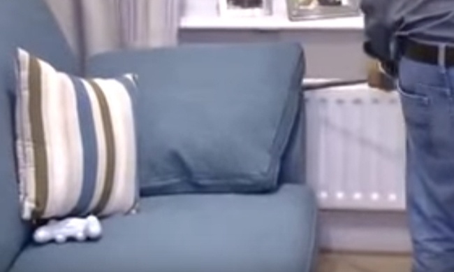 Άκουγαν περίεργους ήχους πίσω από τον καναπέ - Όταν αντίκρισαν τι κρυβόταν… τα έχασαν (video)