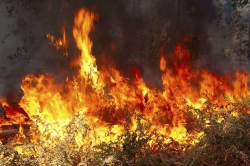 Έκτακτο: Φωτιά ΤΩΡΑ στην Κηφισιά
