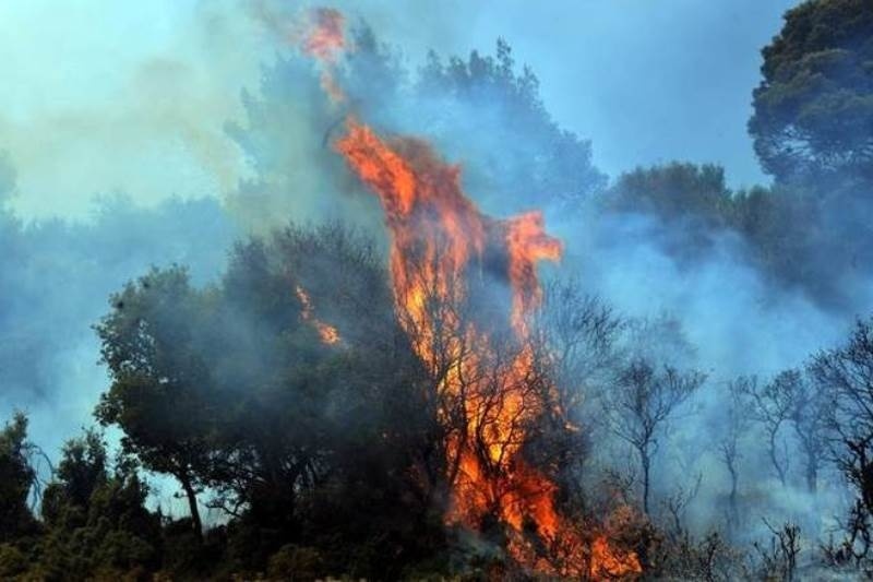 Φωτιά στο Πόρτο Λάφια Καρύστου