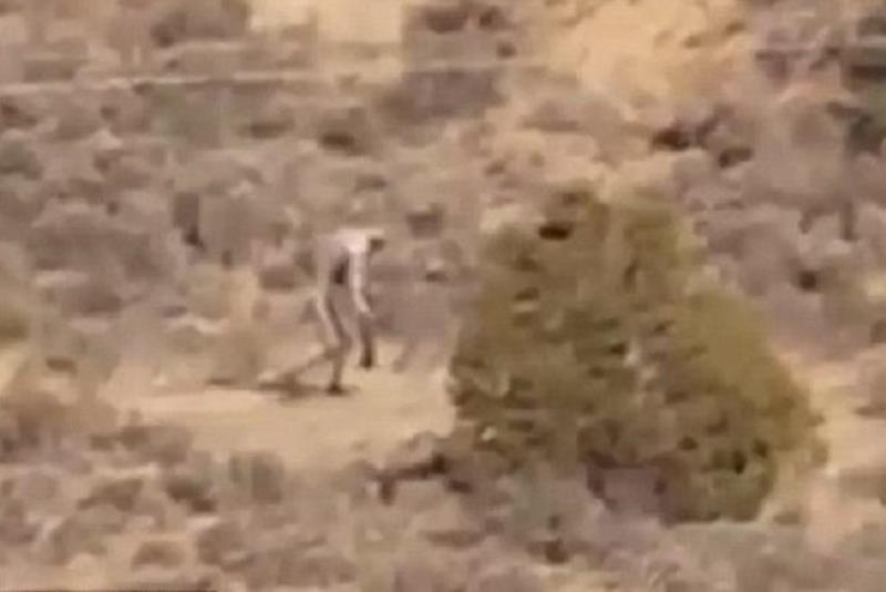 Ο Μεγαλοπόδαρος στην έρημο της Πορτογαλίας; (video)