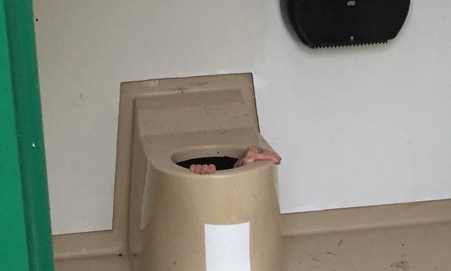 Απίστευτο! Σφήνωσε σε βόθρο προσπαθώντας να σώσει ένα... κινητό τηλέφωνο