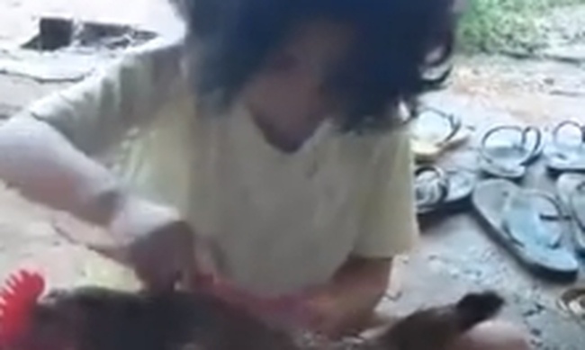 Ένα κοριτσάκι χτενίζει την... κότα της κι εκείνη κάθεται σαν μωρό (video)