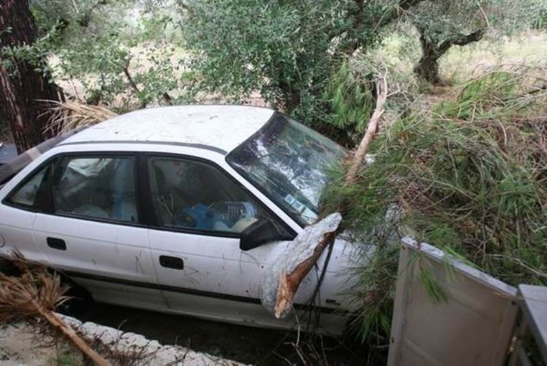 Ολοκληρωτική καταστροφή: Ανεμοστρόβιλος «σάρωσε» την Ηλεία (photos)