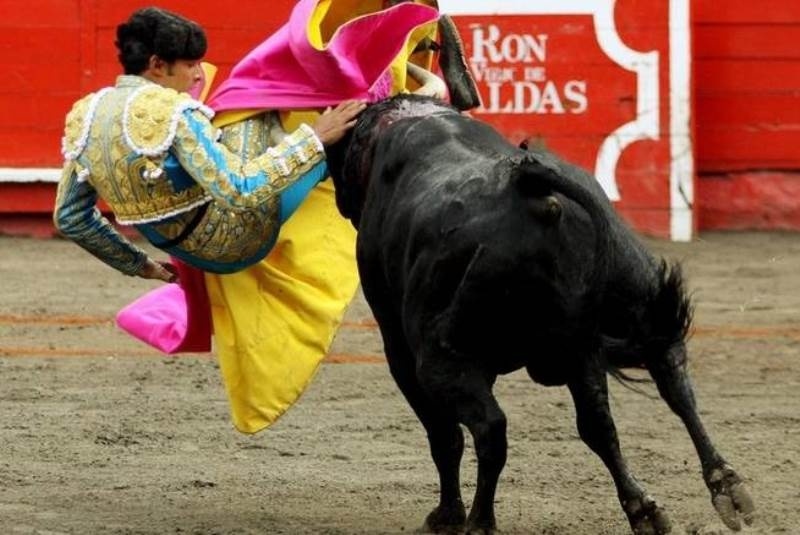 Ισπανία: Κανονικά οι ταυρομαχίες στην Καταλονία