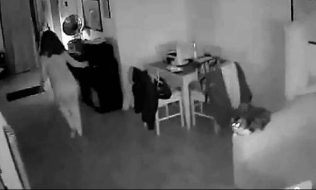 Σεισμός Ιταλία: Βίντεο ντοκουμέντο - Ούρλιαζαν οι δημοσιογράφοι αλλά η γάτα... ακούνητη!