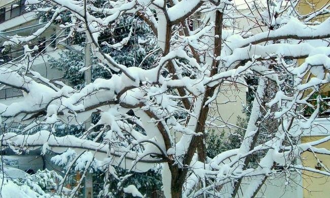 Καιρός: Πού θα χιονίσει την Τρίτη (29/11)