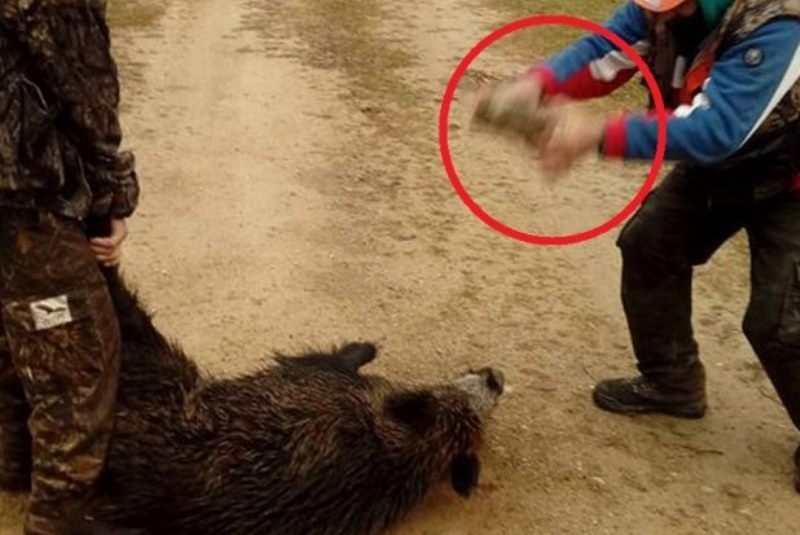 Βασανισμός ζώου από ασυνείδητους κυνηγούς (video)