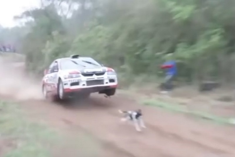 Αν έχεις τύχη διάβαινε… (video)