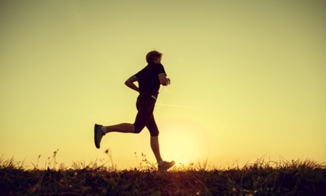 Με αυτό το βότανο θα αυξήσετε τις αντοχές σας τον χειμώνα