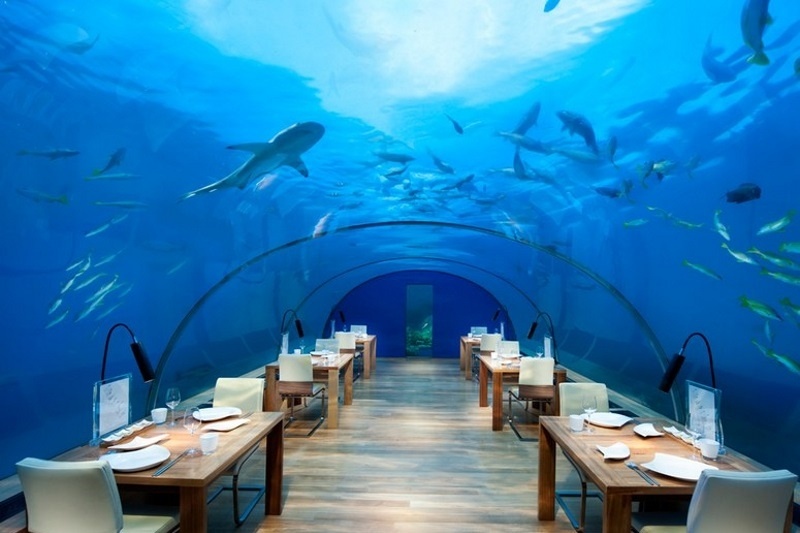 Απίστευτο: Ξενοδοχείο κάτω από τη θάλασσα για... μερακλήδες! (video)