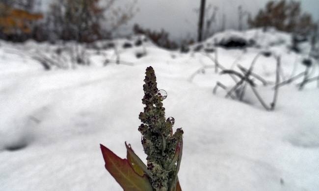 Ο καιρός τα Χριστούγεννα: Χιόνια, παγετός και πολικές θερμοκρασίες!