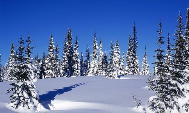 Κακοκαιρία – Συναγερμός: Ξεκίνησαν τα προβλήματα - Δείτε πού εντοπίζονται