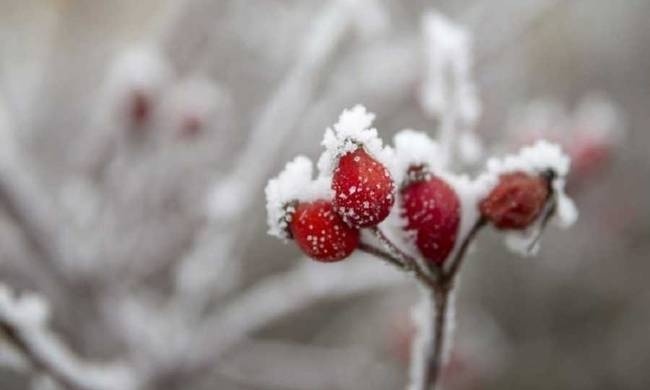 Καιρός ΕΜΥ: Πού θα χιονίζει τη Δευτέρα (9/1) - Αναλυτική πρόγνωση