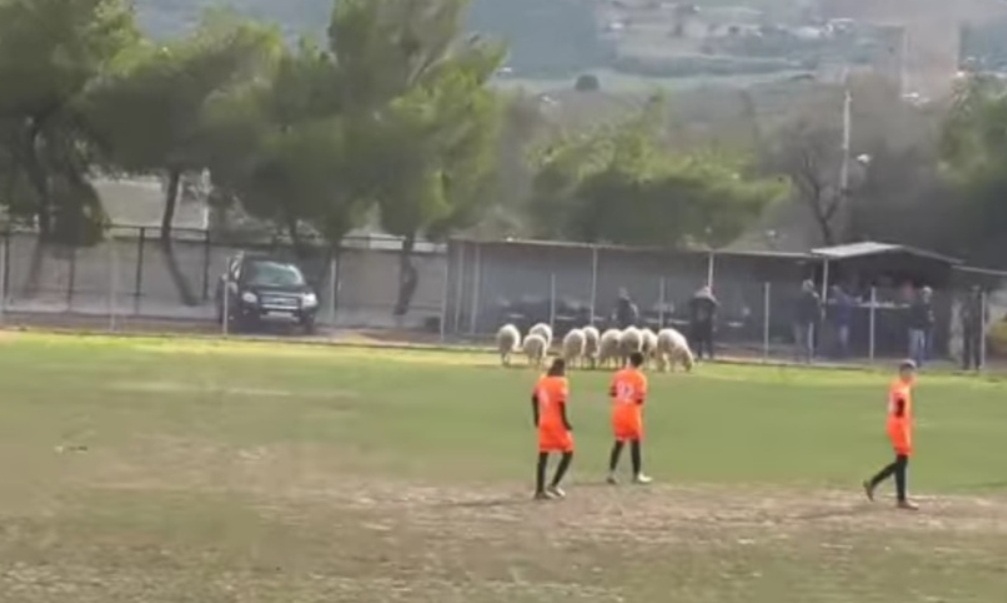 Παράξενη… εισβολή σε γήπεδο!