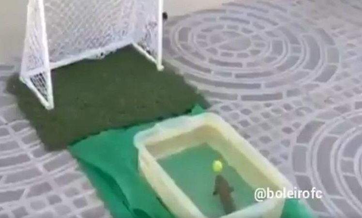 Απίστευτο: Στη Βραζιλία σκοράρουν και τα… ψάρια!