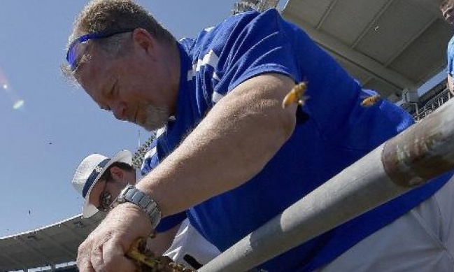 Επίθεση σε οπαδούς στο γήπεδο! Από τι όμως…