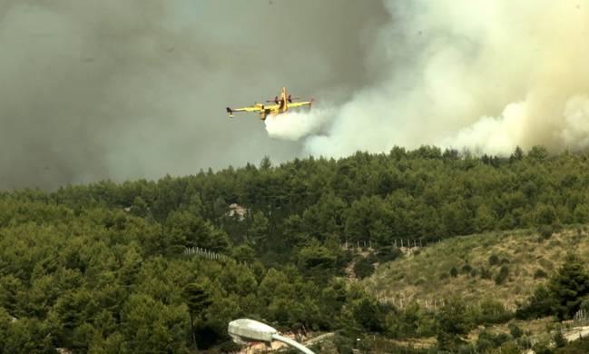 Φωτιά ΤΩΡΑ: Χωρίς ενεργό μέτωπο το Καπανδρίτι - Φόβοι για αναζωπυρώσεις λόγω των ισχυρών ανέμων