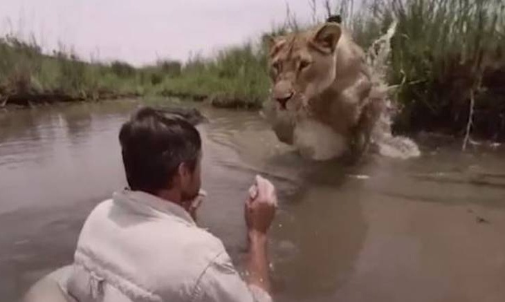 Μην σας τρομάζει η φωτογραφία, τίποτα κακό δεν πρόκειται να συμβεί (vid)