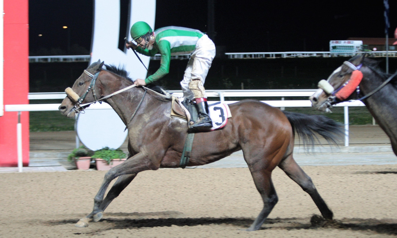 ΠΑΡΤΥ ΤΑΪΓΚΕΡ εναντίον ΠΟΕΤΙΚ ΓΚΕΣΤ σήμερα στο Μαρκόπουλο