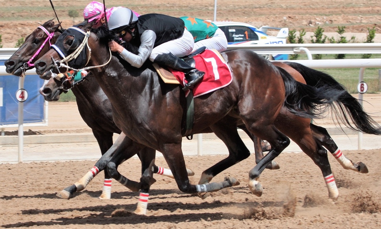 Έρχονται το 72ο Ελληνικό Ντέρμπι και το Κύπελλο Λευκού Πύργου στον ιππόδρομο Αθηνών (photos)