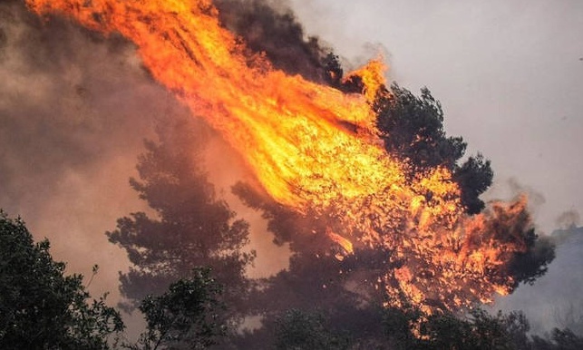 Φωτιά ΤΩΡΑ στον Άγιο Στέφανο Αττικής