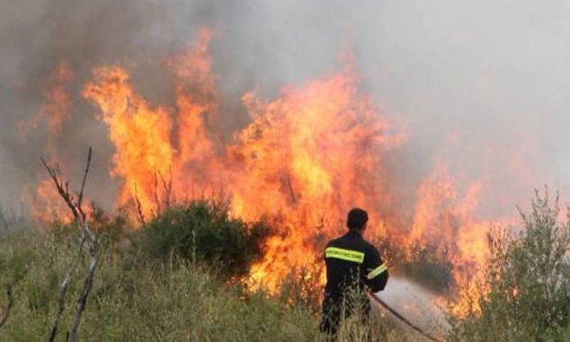 Φωτιά: Συναγερμός για πυρκαγιά ΤΩΡΑ στο Μαρκόπουλο