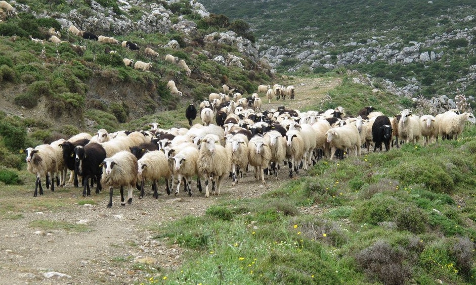 Να επέμβει η ΕΣΗΕΑ, ο ΠΣΑΤ, η ΕΟΚ και το ΝΑΤΟ…