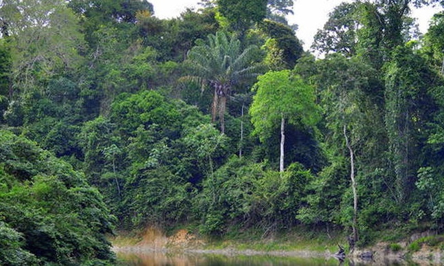 Έχετε ξαναδεί παρόμοιο ερπετό; Ένα σπάνιο είδος που μοιάζει με φίδι (video)