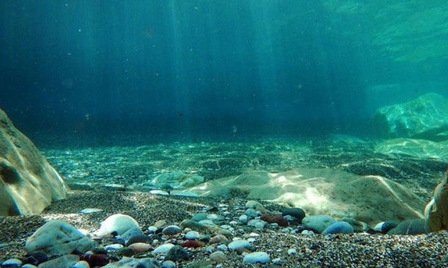 Τρόμος στο νερό: Δέχθηκε εφιαλτική επίθεση από «τέρας» του βυθού και δείτε τι έκανε!