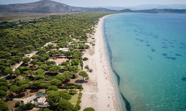 Μεγάλος κίνδυνος στον Σχινιά - Συναγερμός για το φαινόμενο που παρατηρείται στη θάλασσα