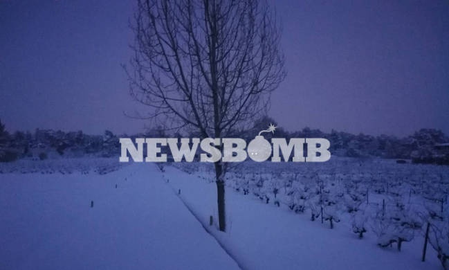 Κακοκαιρία «Τηλέμαχος»: «Παρέλυσε» η χώρα - Αυτοί οι δρόμοι είναι κλειστοί