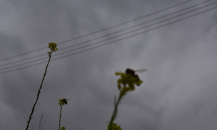 Άστατος ο καιρός σήμερα με καταιγίδες και σκόνη